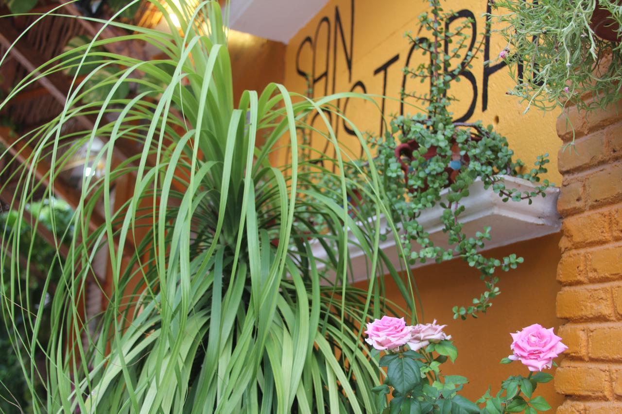 Posada San Cristobal Zipolite Bagian luar foto